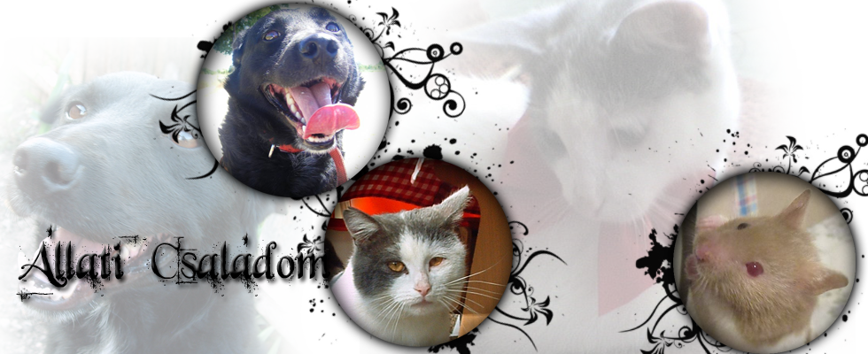 Állati Családom
